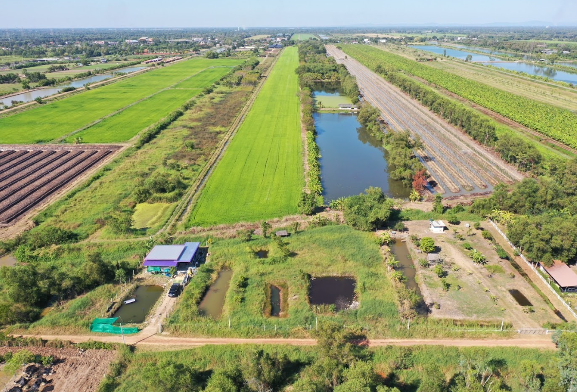ขายที่ดินปทุมธานี ลำลูกกา คลอง 13 โสมศิริเฟส 1 