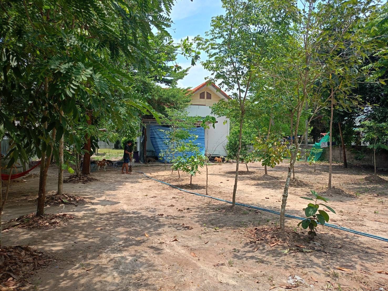 ขายที่ดิน2 ไร่ ติดถนนพร้อมออฟฟิช