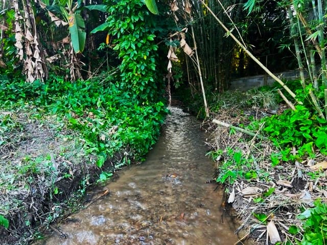ที่ดินเชียงดาว ติดลำธาร ติดถนน มีโฉนด ไฟฟ้า ประปาพร้อม