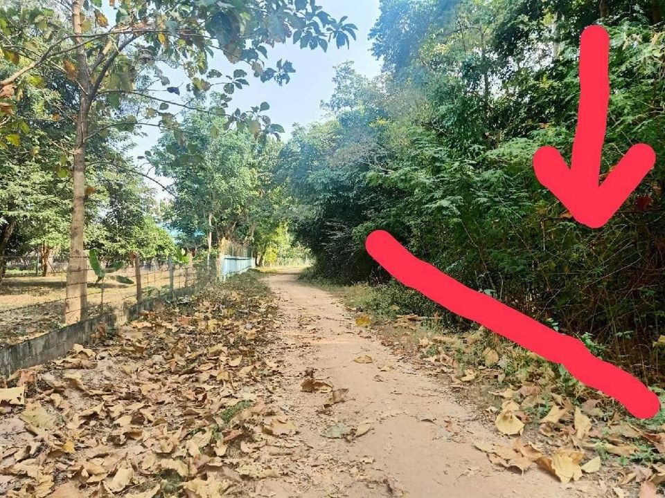 ที่ดิน 3 โฉนด ขายยกแปลง 1 ไร่ ราชบุรี