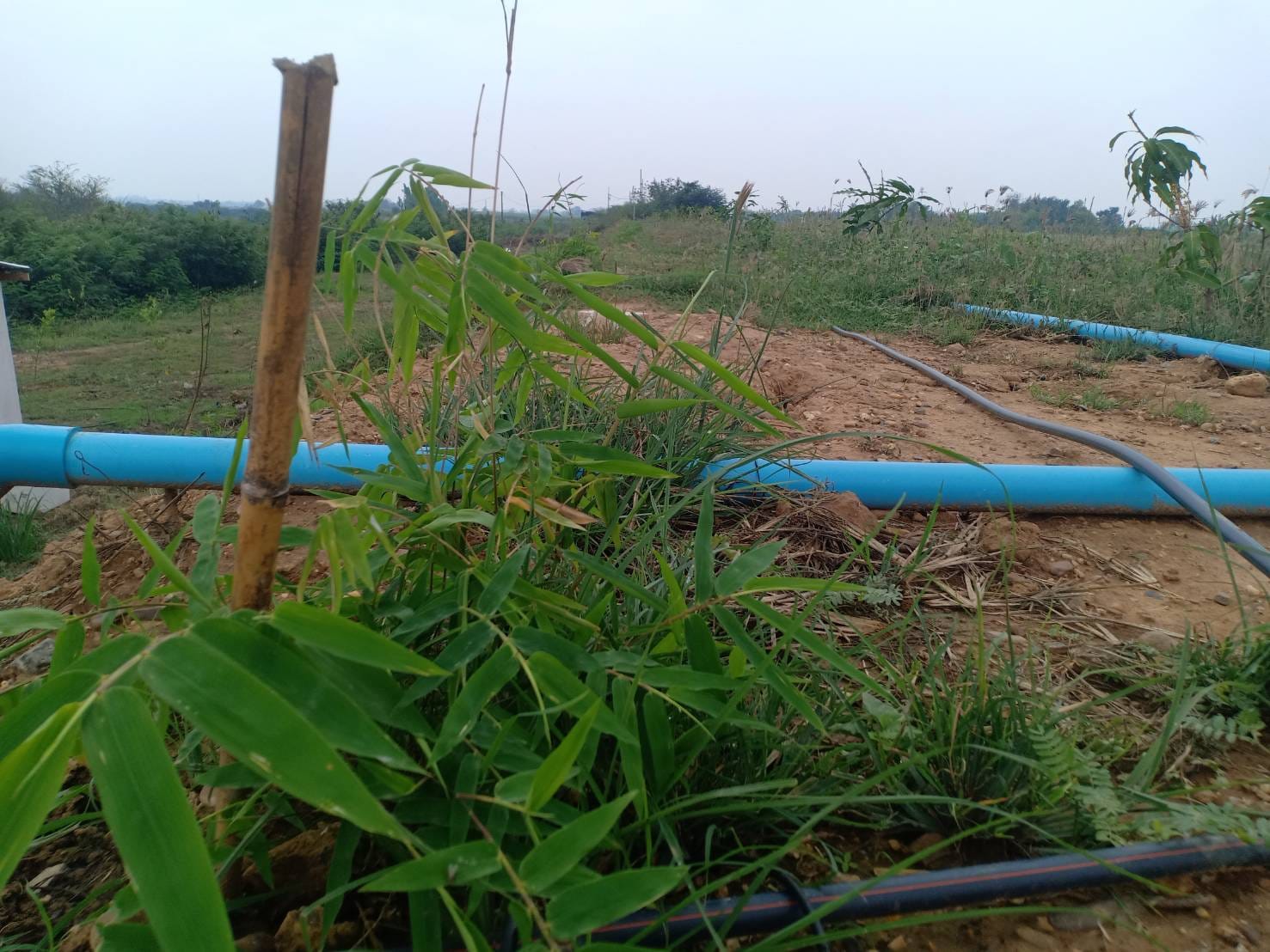 ที่ดินบ่อทรายเก่า กาญจนบุรี 24-3-34.7