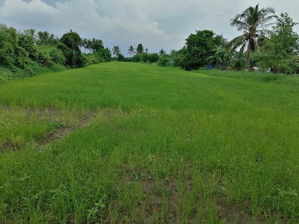 ที่ดินทุ่งนา สุพรรณบุรี 3-0-76