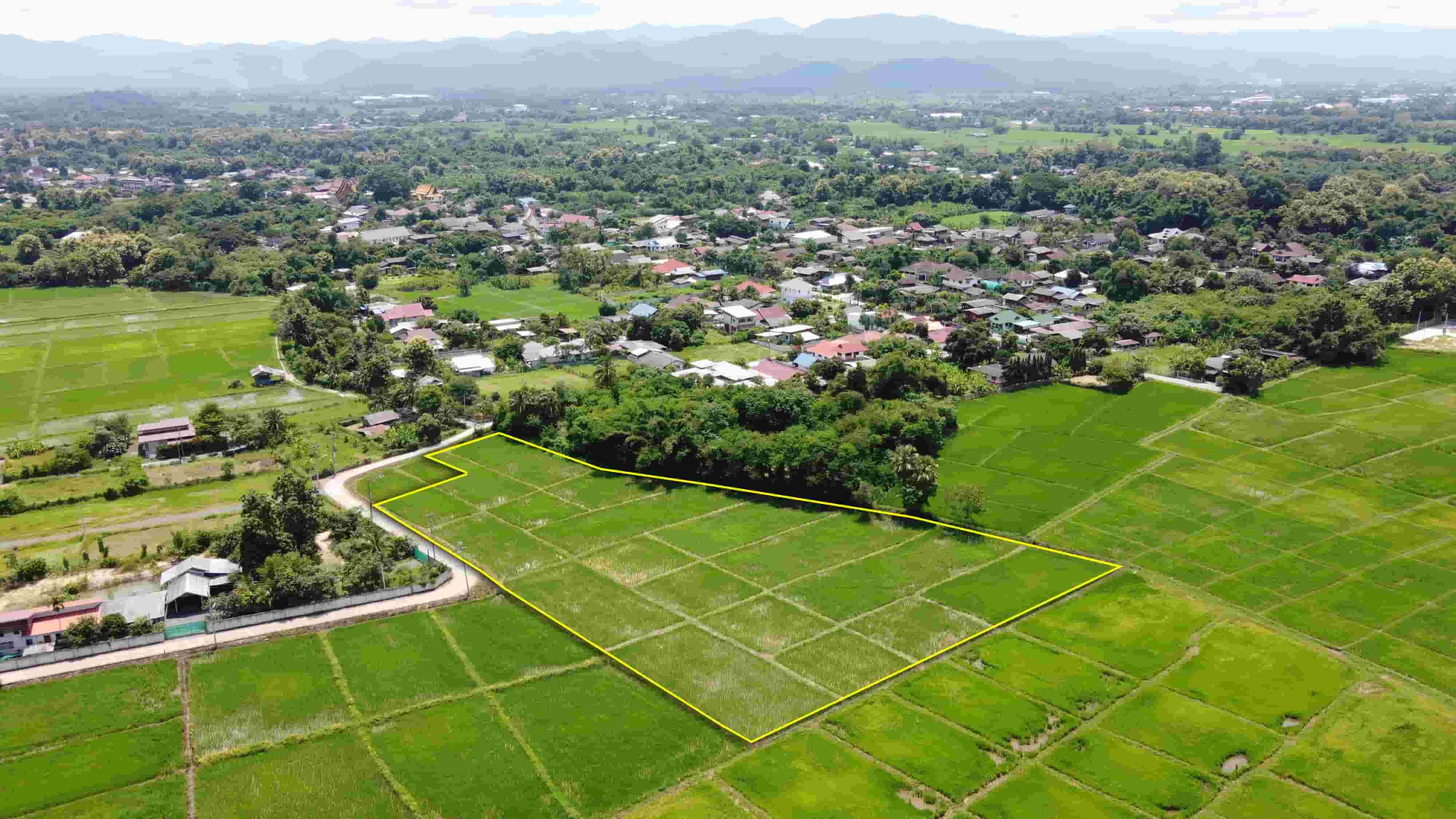 ที่นา 5-3-70 ไร่ (มีไฟฟ้าประปา ติดถนนคอนกรีต 2ด้าน )
