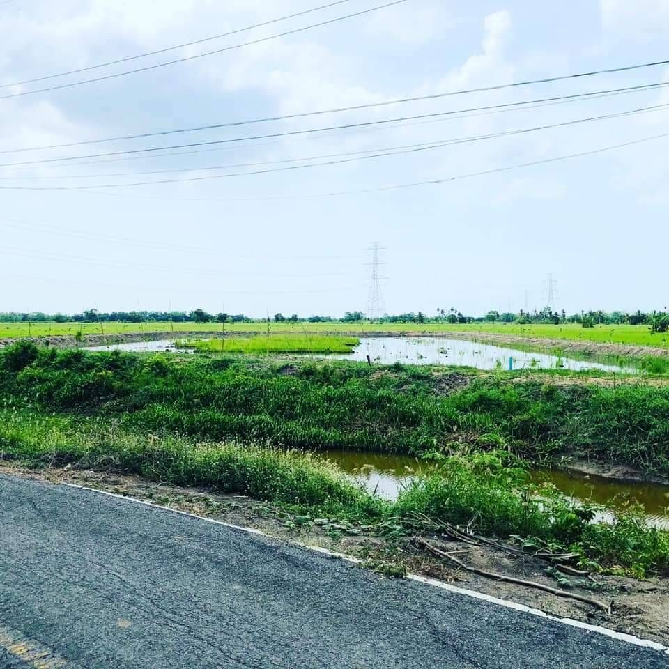 ขายที่ดินติดถนนติดคลอง