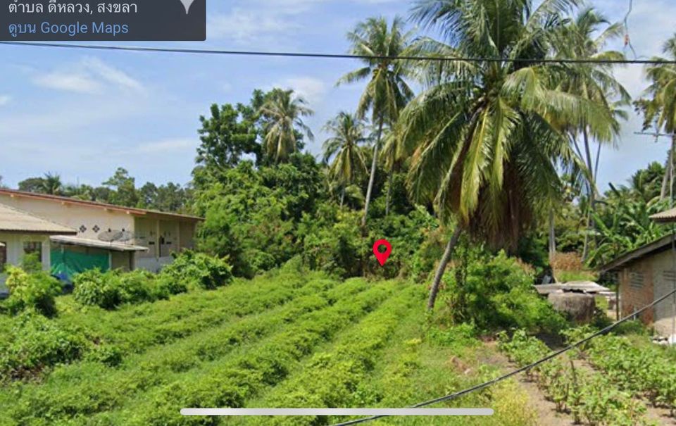 ที่ดินสวยติดถนนสายหลัก สงขลา-ระโนด