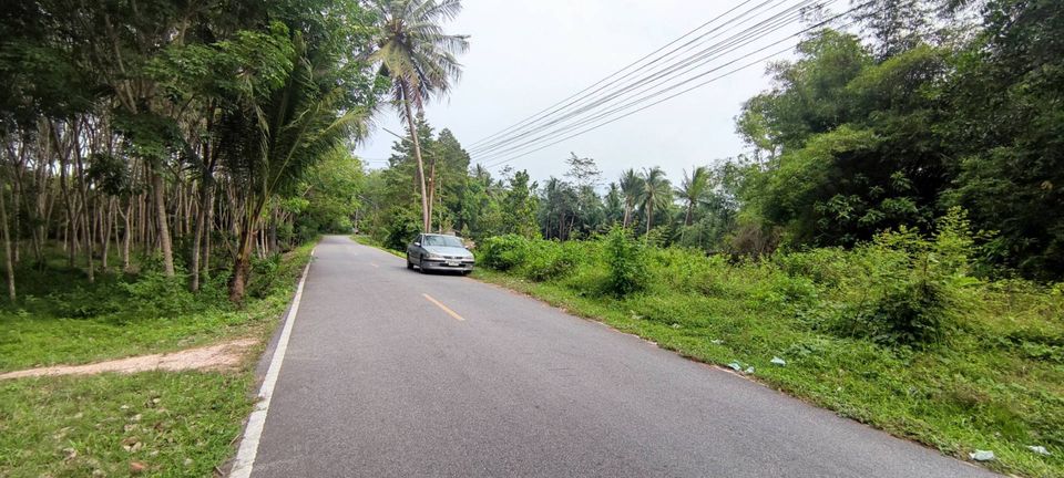 ที่ดิน 61.1 ตรว.ติดถนนลาดยาง ในชุมชน ใกล้ศูนย์ราชการ อำเภอนาหม่อม จ.สงขลา