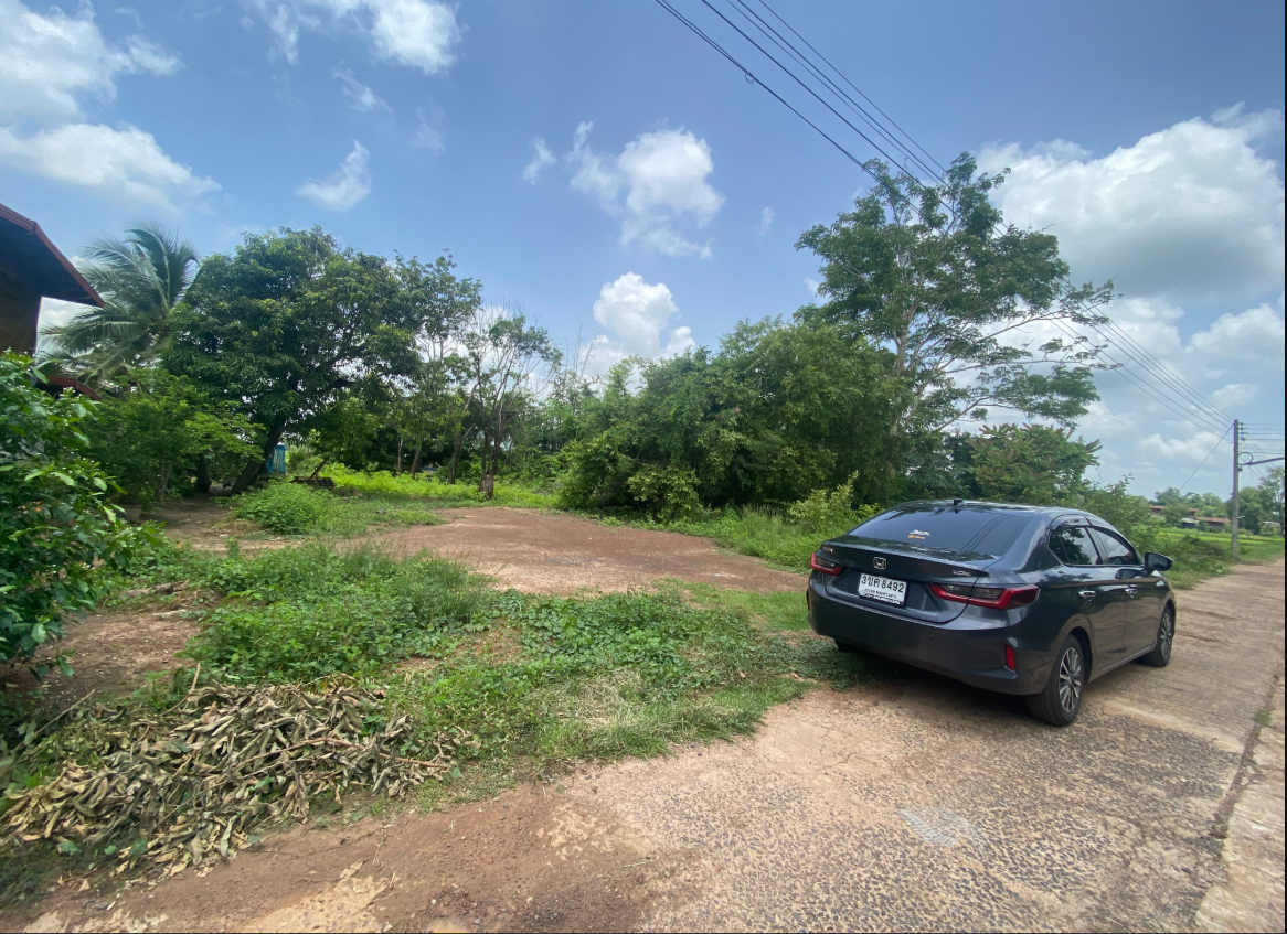 ขายที่ดินอุบลฯ เดชอุดม ที่ดินสร้างบ้าน ต.นาส่วง อ.เดชอุดม จ.อุบลฯ