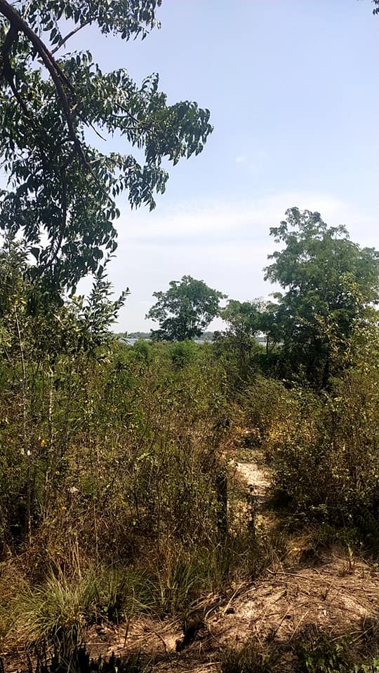 ที่ดินเหมาะทำบ้านสวน ที่พักอาศัย อุบลราชธานี 2 ไร่