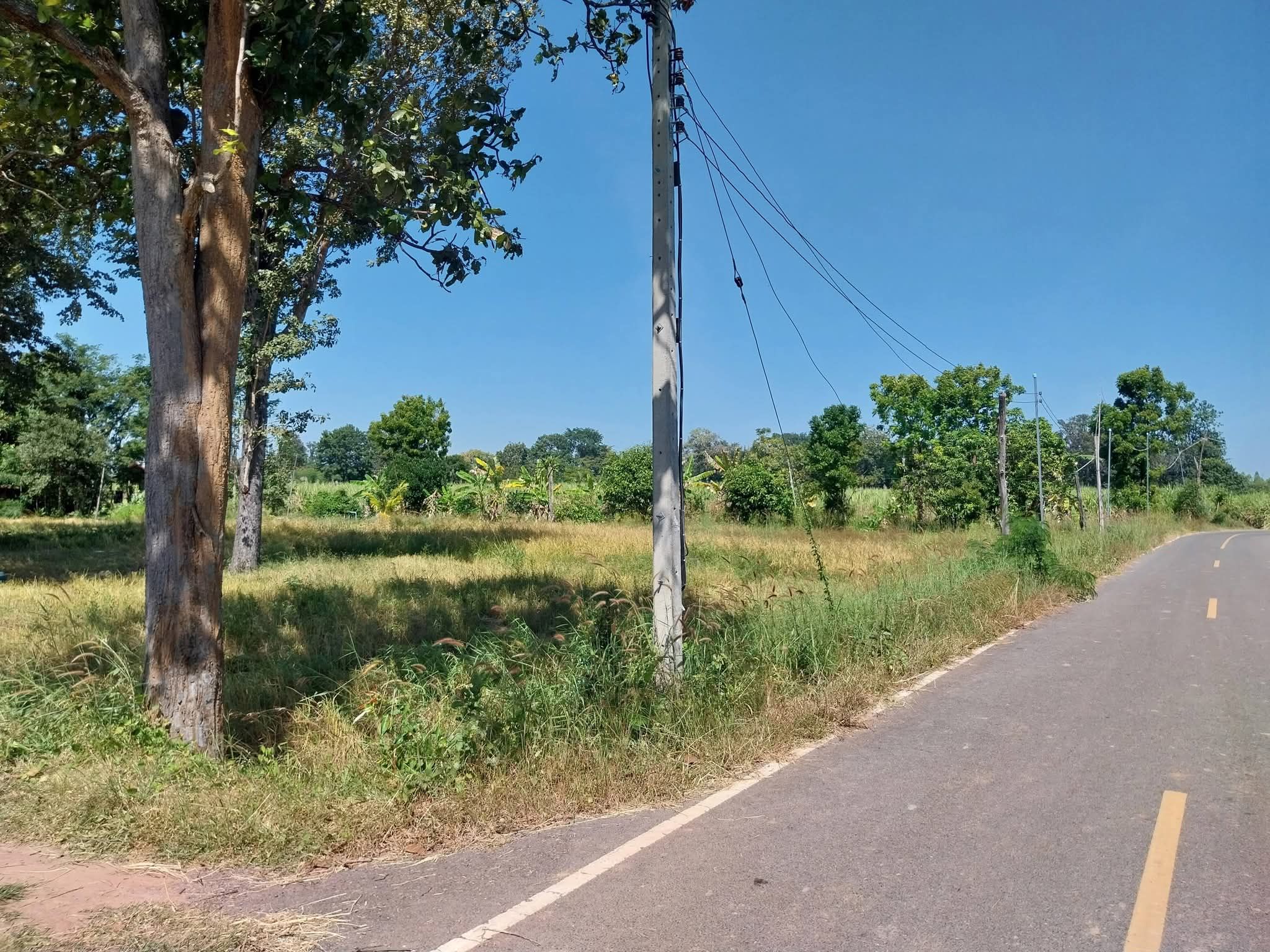 ขายที่นาแปลงสวยๆ  ต.เย้ยปราสาท อ.หนองกี่ จ.บุรีรัมย์ 