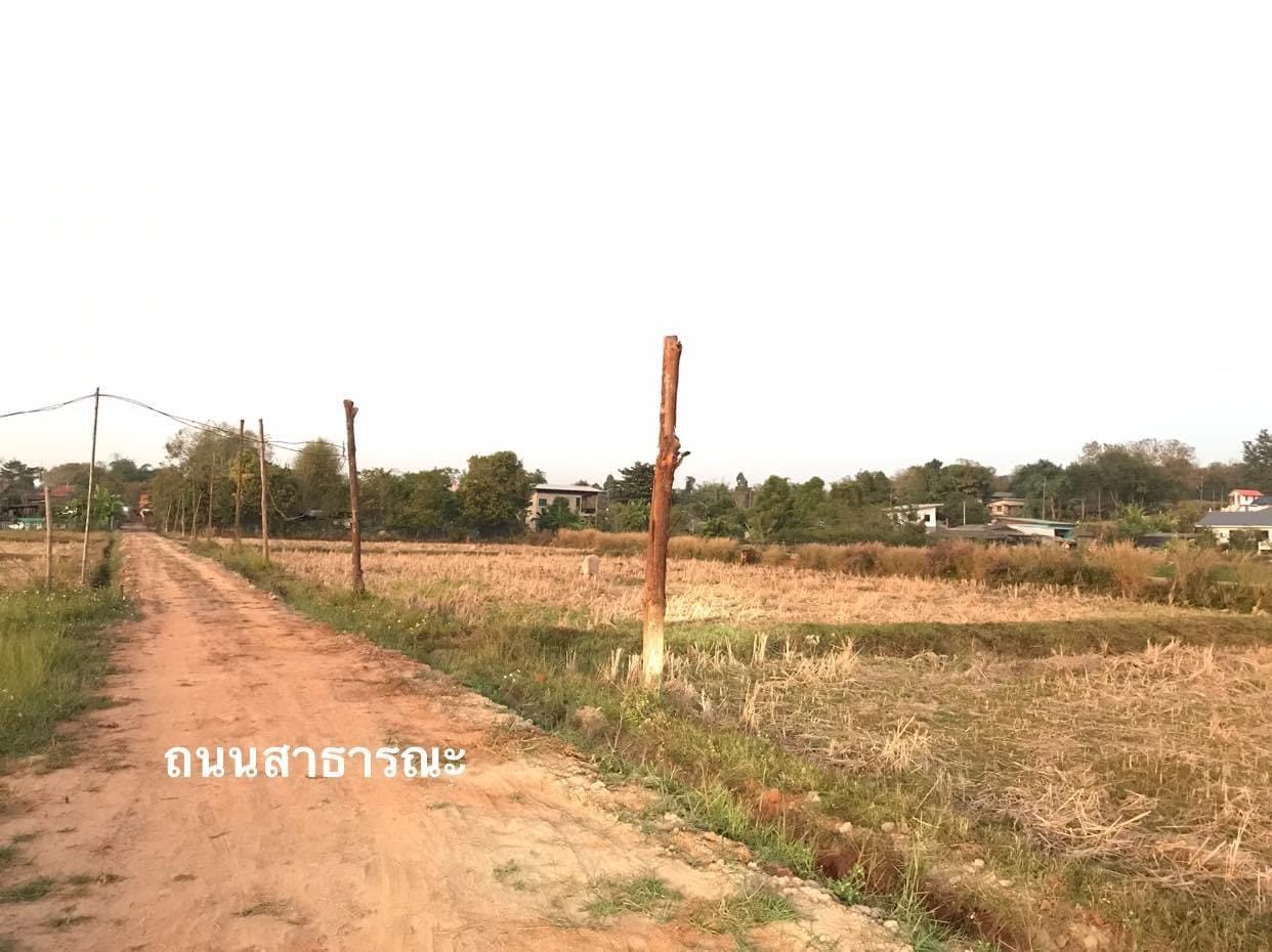 ที่ดินทำเลดี ใกล้กับโรงพยาบาลศูนย์การแพทย์แม่ฟ้าหลวงหลวง