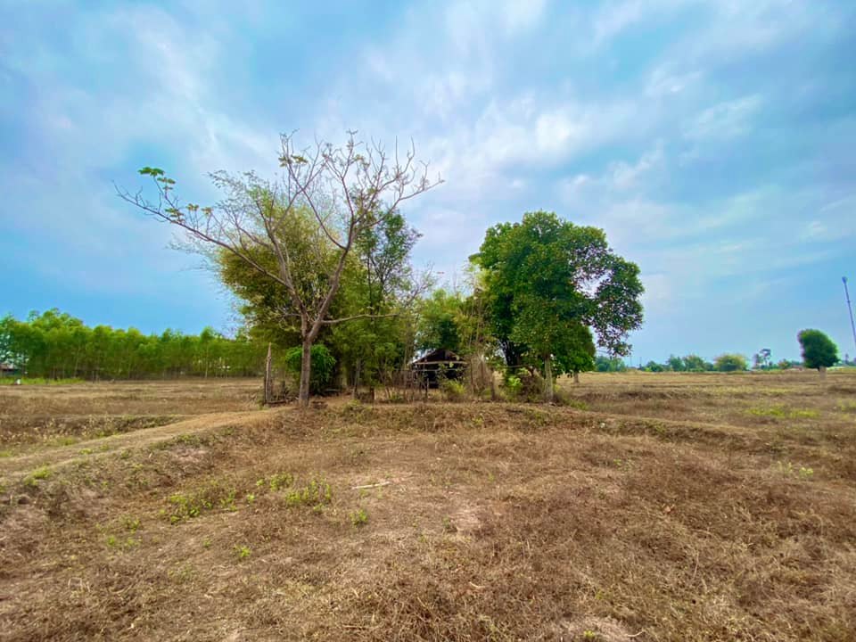 ที่ดินเปล่า หนองหาน อุดรธานี 15-0-75