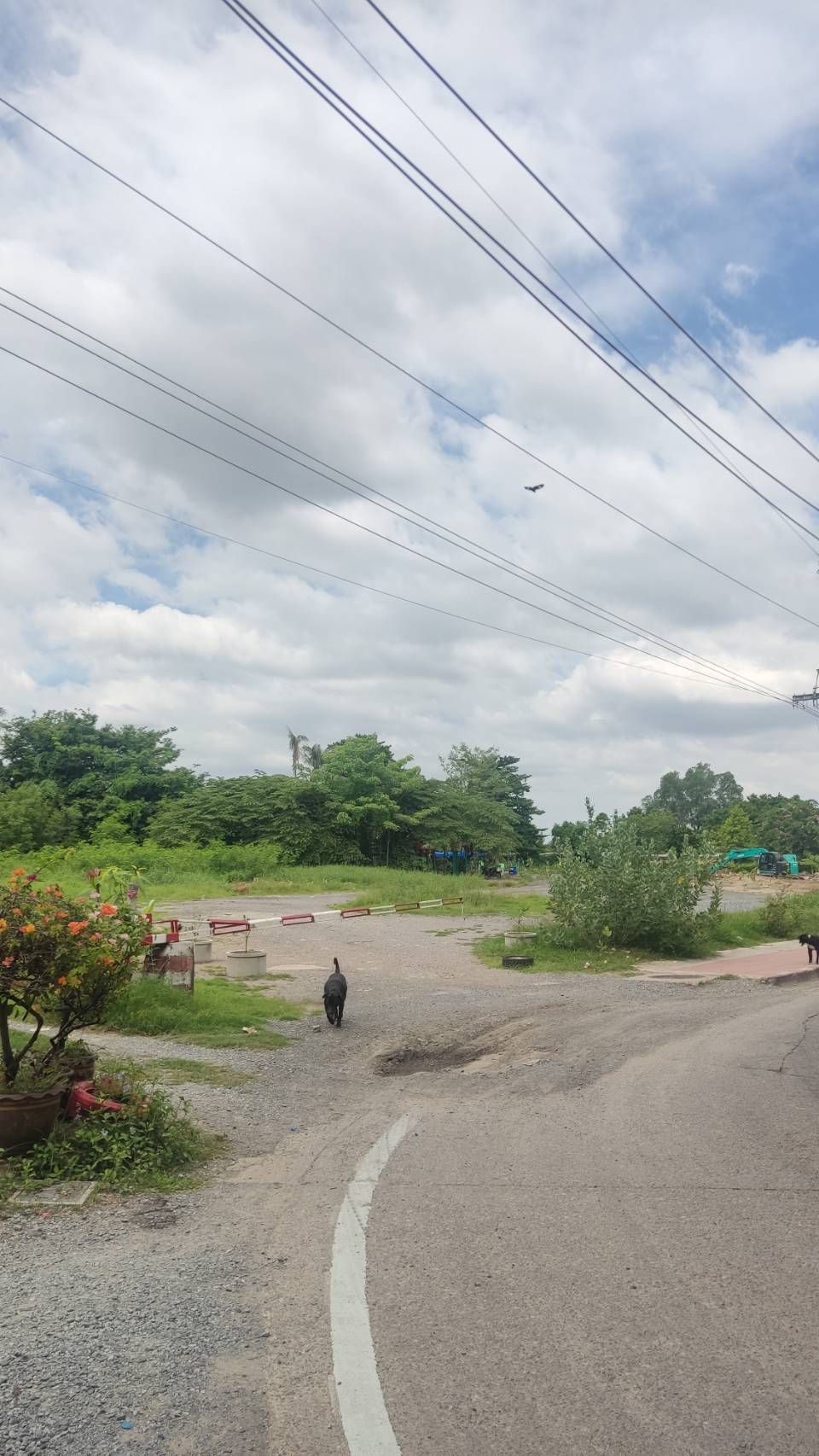 ขายที่ดินกรุงเทพฯ เขตตลิ่งชัน ที่ติดถนนใหญ่ พรานนก
