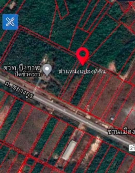 ขายที่ดินบึงกาฬ อ.เมืองบึงกาฬ 4-3-99.3 ไร่