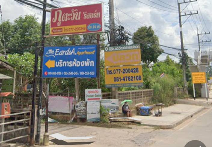 ขายที่ดิน สุราษฎร์ธานี 63.6 ตรว.