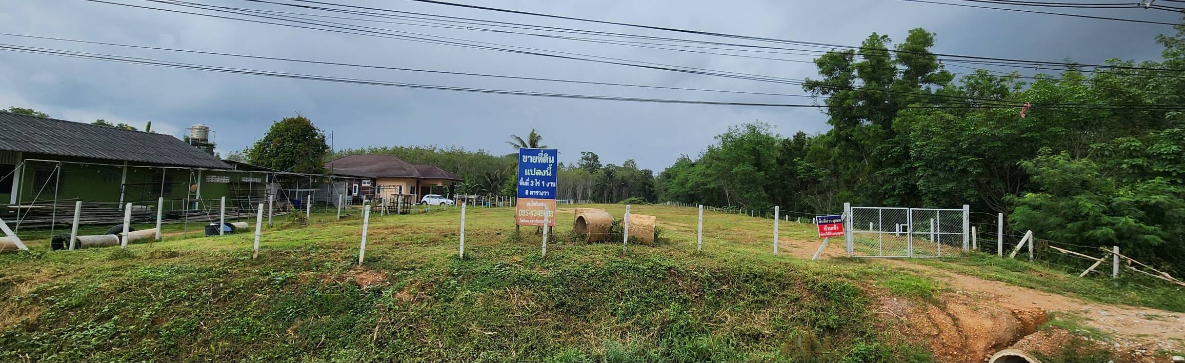 ขายที่ดิน หาดใหญ่ สงขลา 3-1-8.6 ไร่