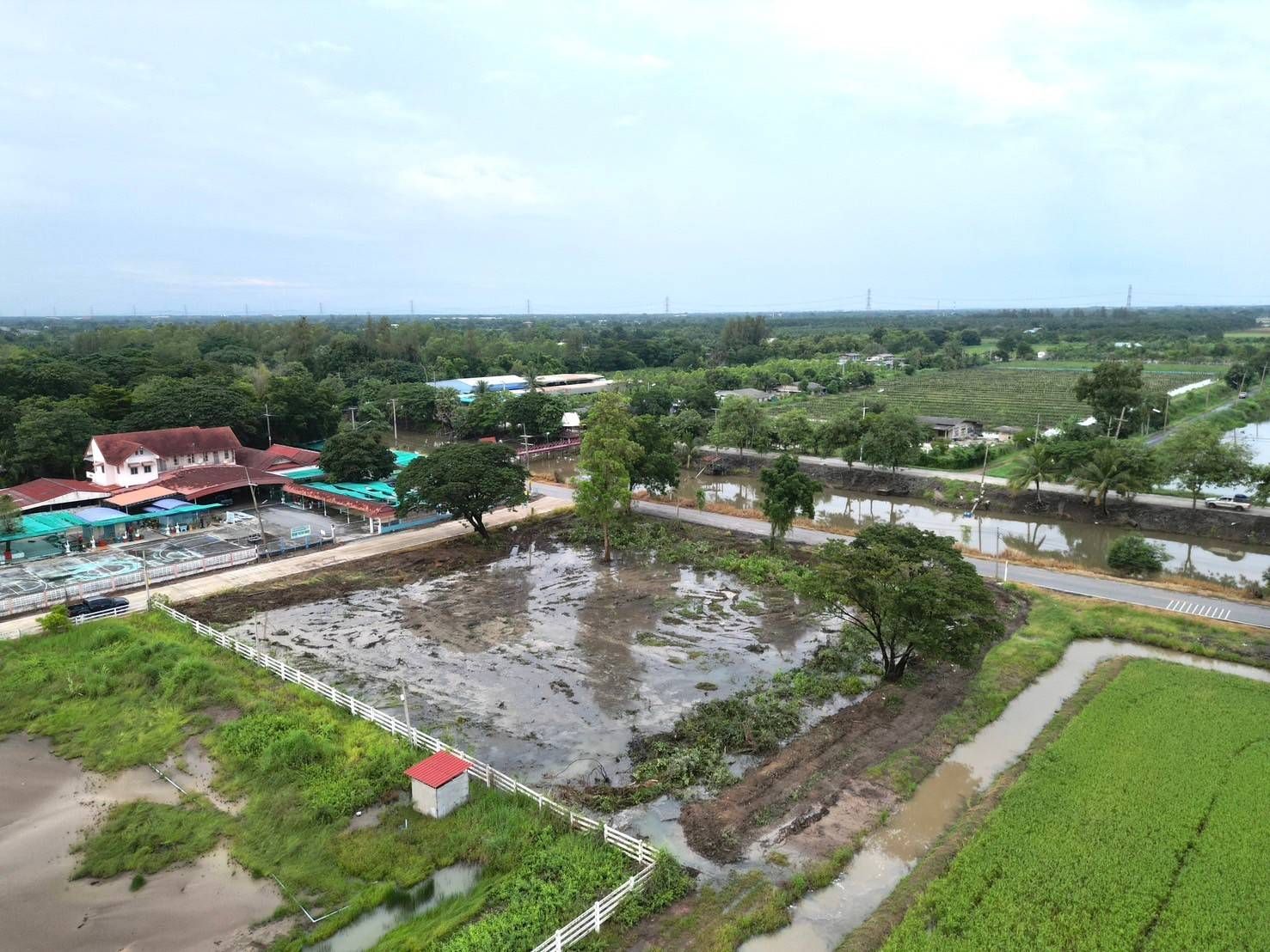ขายที่ดินปทุมธานี อำเภอหนองเสือ ที่ดินแปลงสวย ใกล้โรงเรียนจุฑารัตน์วิทยา 2-1-24 ไร่.