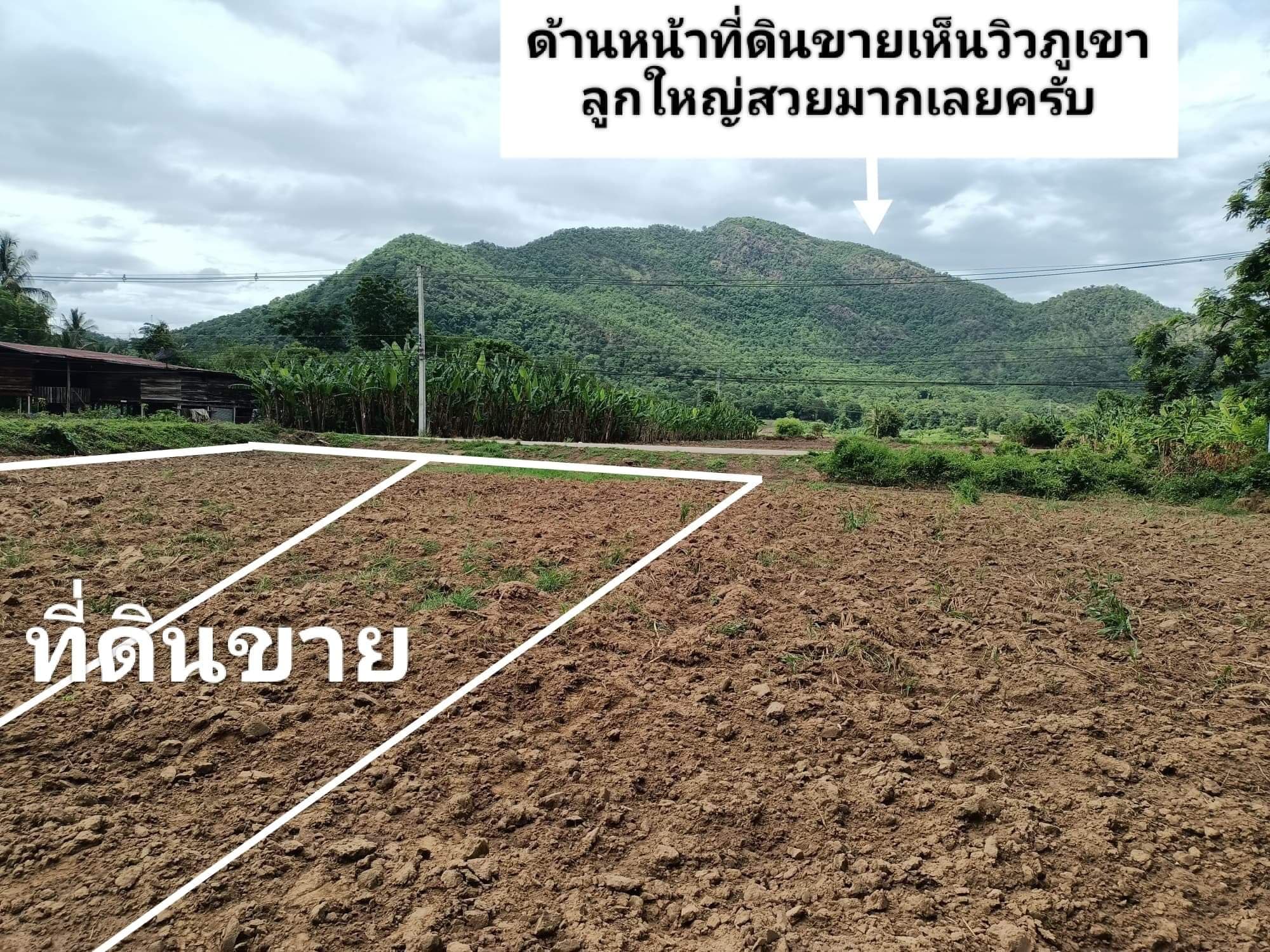 ที่ดินเปล่า อ.เมืองตาก จ.ตาก 0-2-0