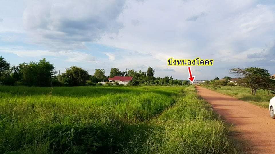 ขายที่ดินขอนแก่น เมืองของแก่น 1ไร่