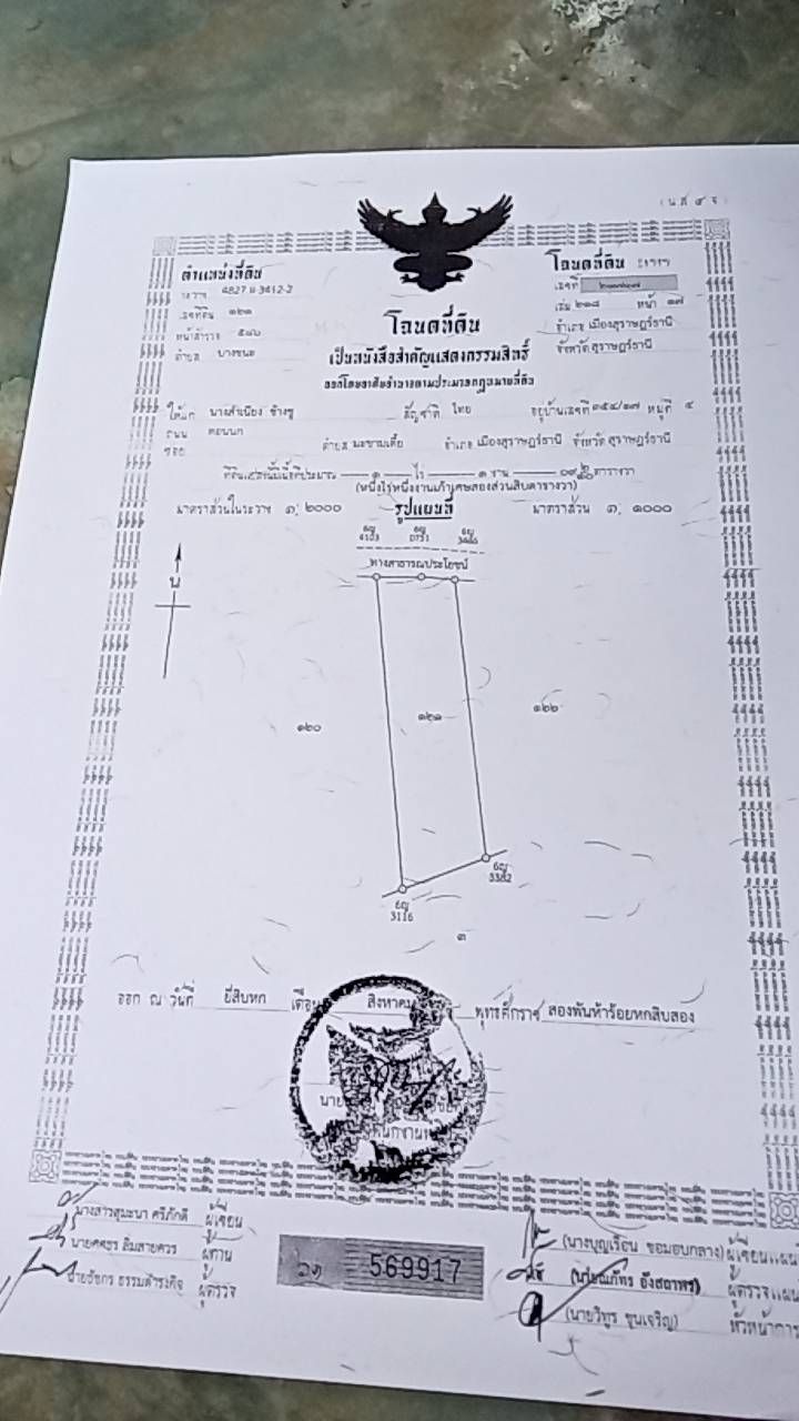 ขายที่ดิน สุราษฎร์ธานี 1-1-9.2 ไร่