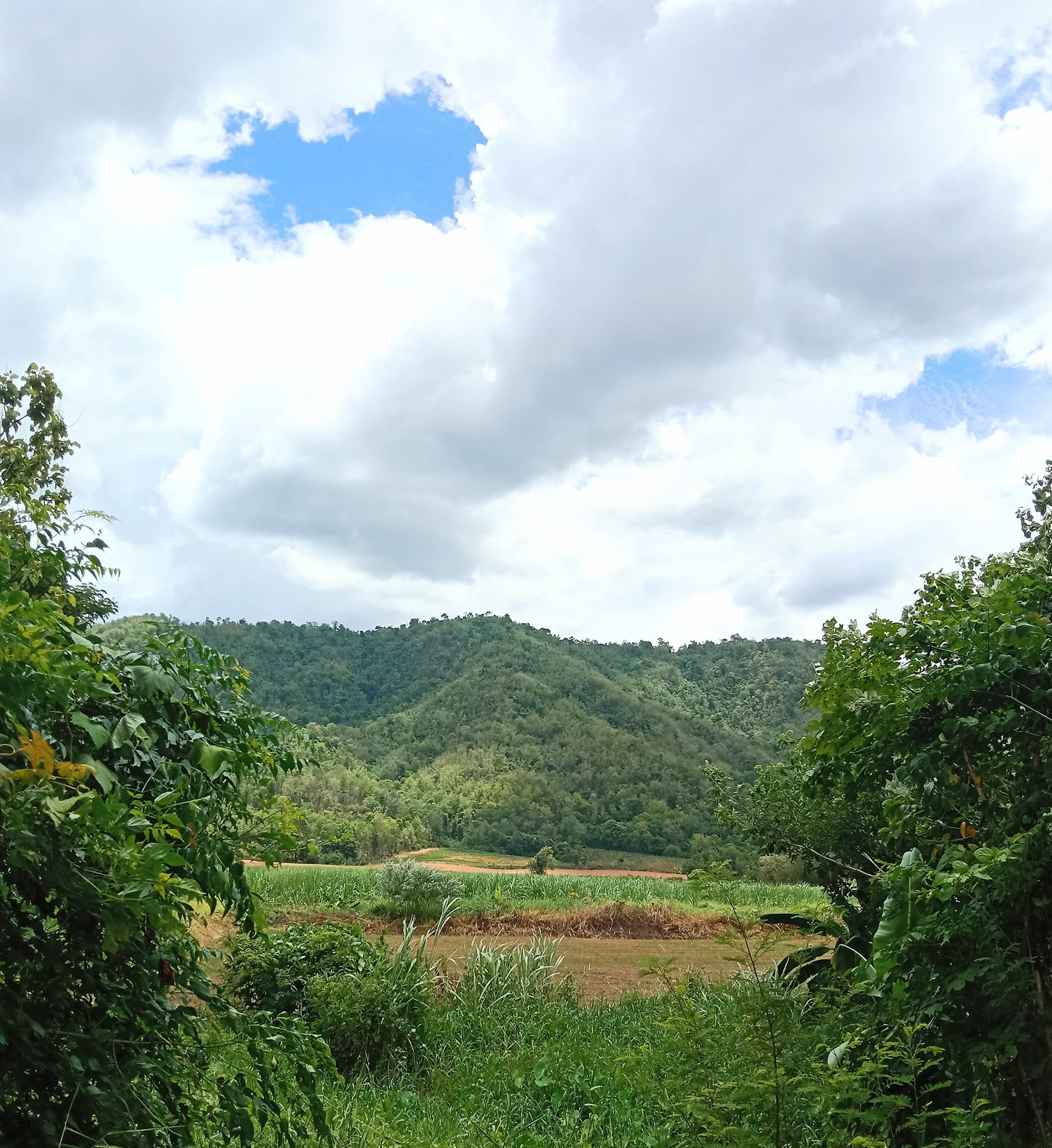 ขายที่ดินแปลงสวย วิวดี ติดภูเขา 19-0-64.8 อุตรดิตถ์