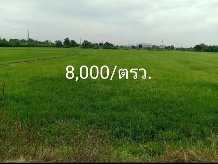 ขายที่ดินนครปฐม บางเลน แปลงมุมเหมาะทำหมู่บ้าน 69-0-36 ไร่