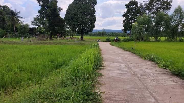 ที่ดินเปล่าเมืองมุกดาหาร ติดทางสาธารณะ 9-2-71