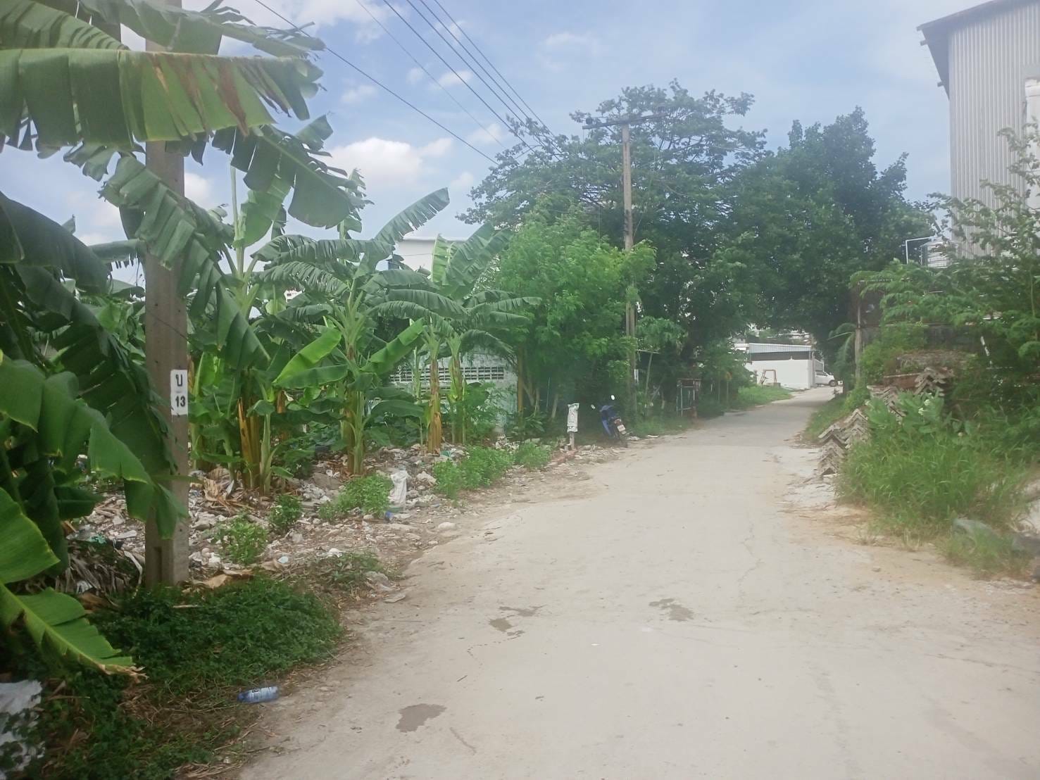 ขายที่ดินย่านบางนา ซอยลาซาล52 ทำเลดี