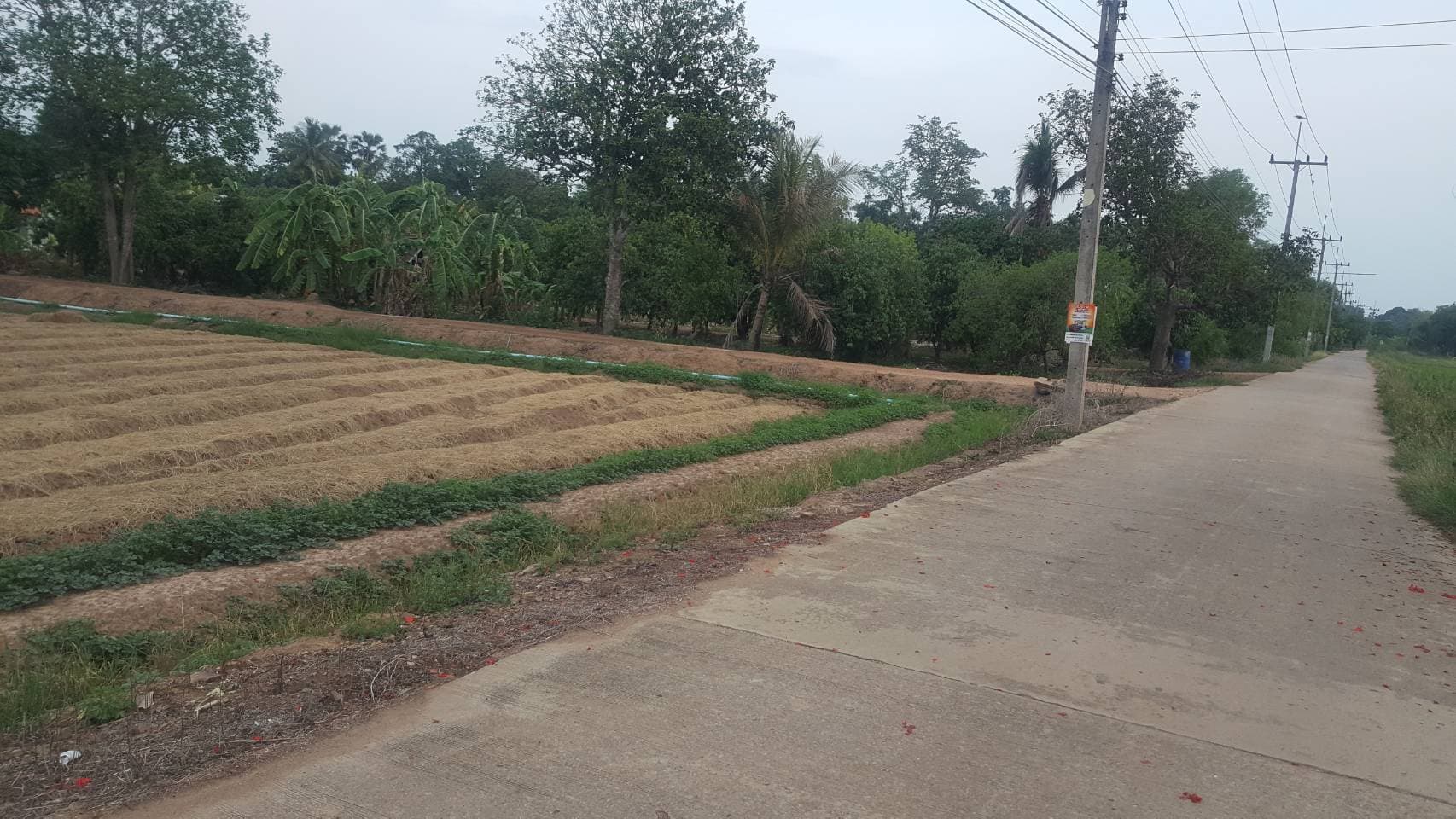 ที่ดินเปล่า สุพรรณบุรี 6-1-31
