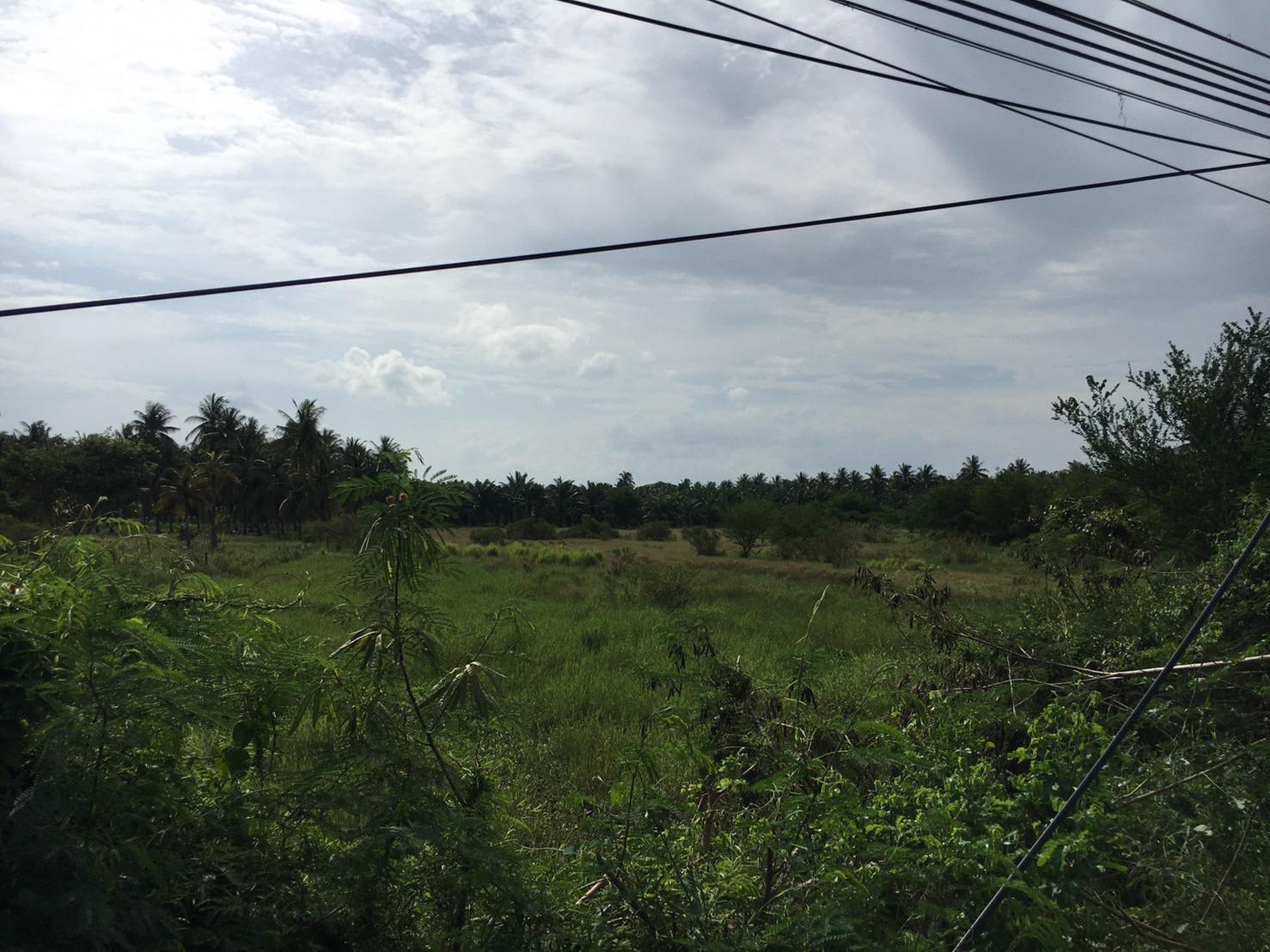 ที่ดินเปล่า กุยบุรี ประจวบฯ 9-2-58.9