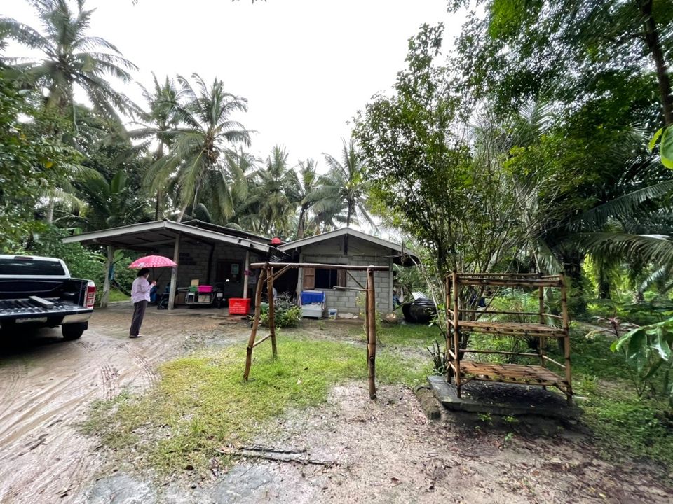 บ้านพร้อมที่ดิน 2 ไร่กว่า ประจวบคีรีขันธ์