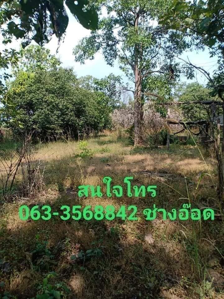 ขายที่ดิน ตาก 2-1-48 ไร่