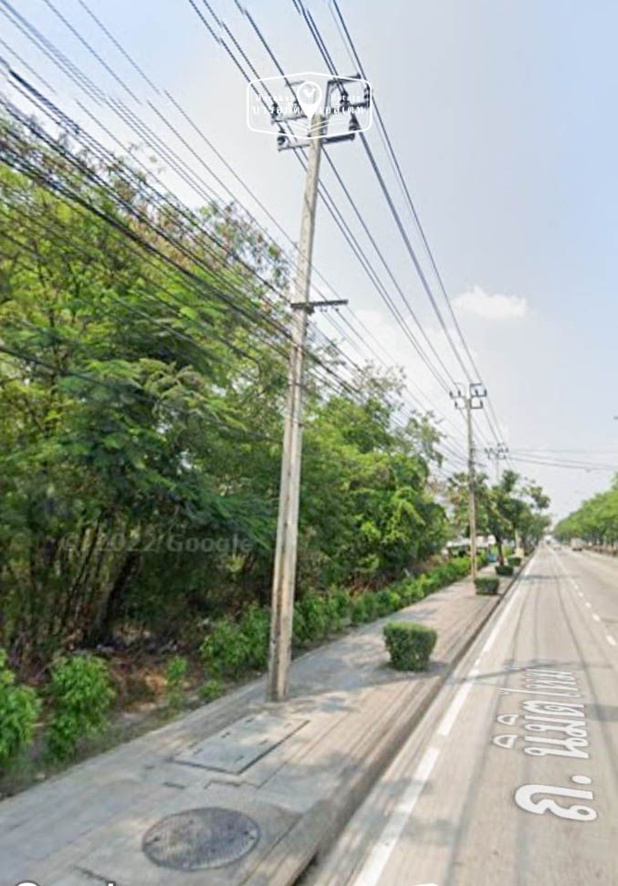 แปลงสวยติดถนน เขตคลองสามวา