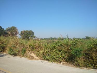 ที่ดินเปล่าแปลงสวย อุบลราชธานี 19-3-53