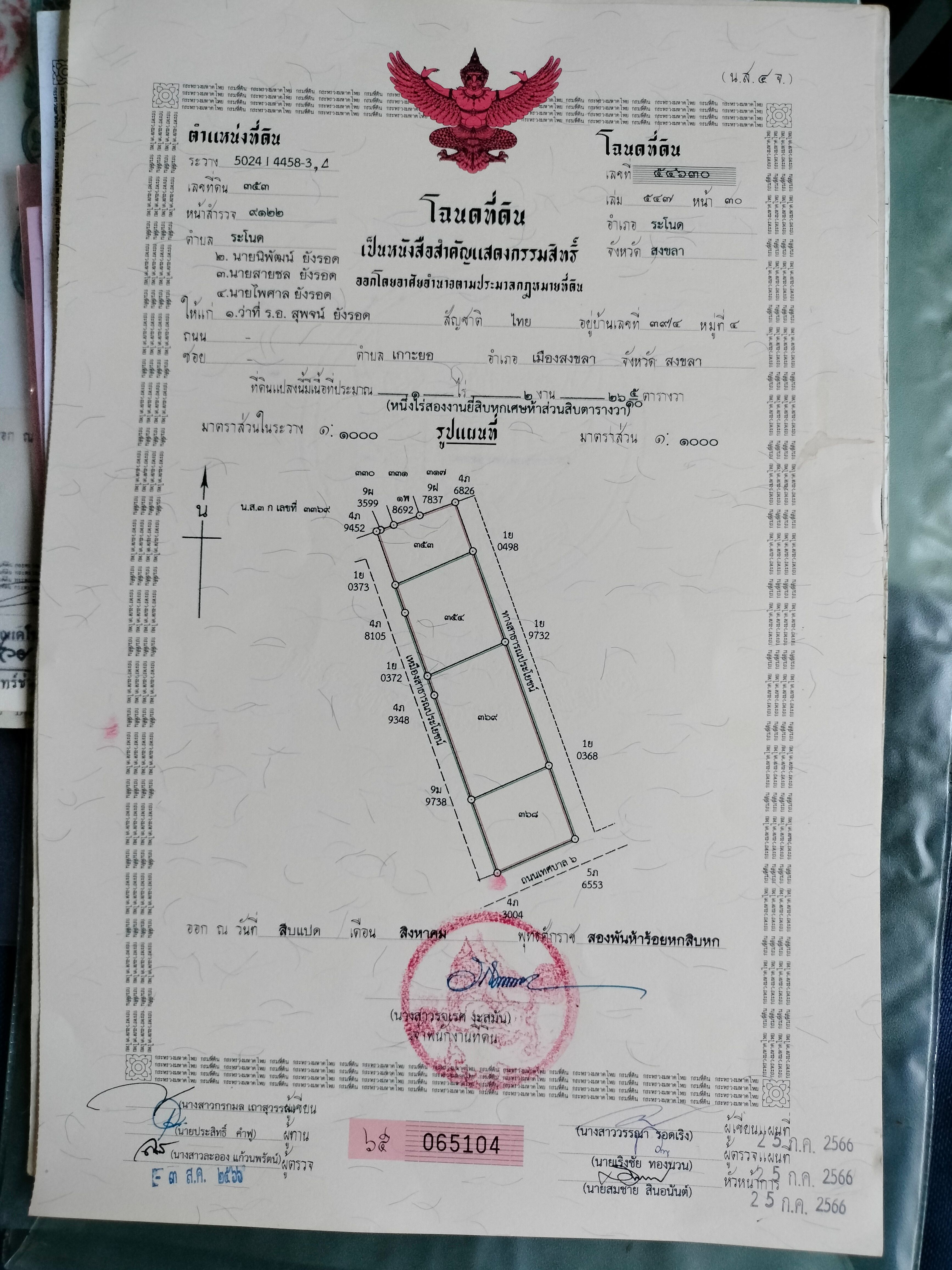 ขายที่ดินสงขลา อำเภอระโนด ซอยลูกดกเทศบาลระโนด