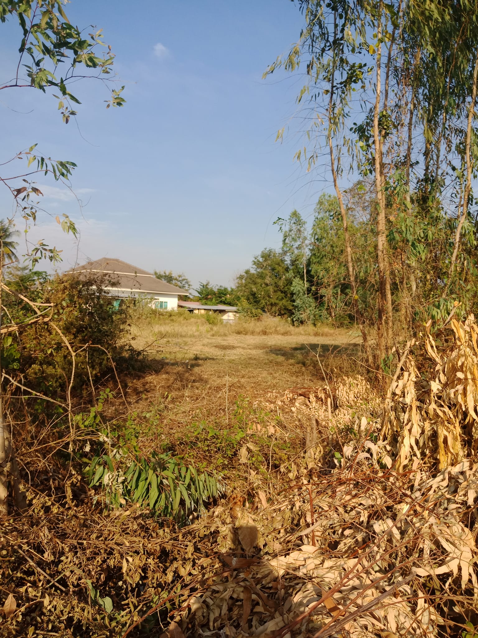 ขายที่ดิน ร้อยเอ็ด 0-2-41.2 ไร่