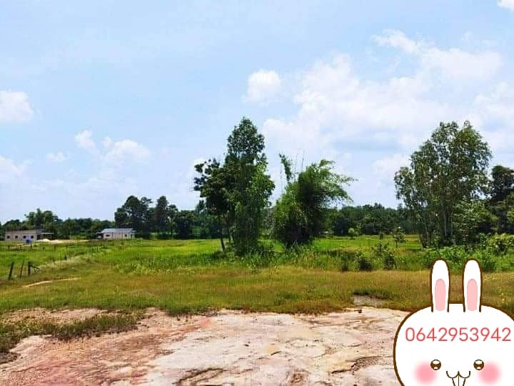 ที่ดินทำเลทอง หลัง ม.ราชภัฏชัยภูมิ 9-0-50