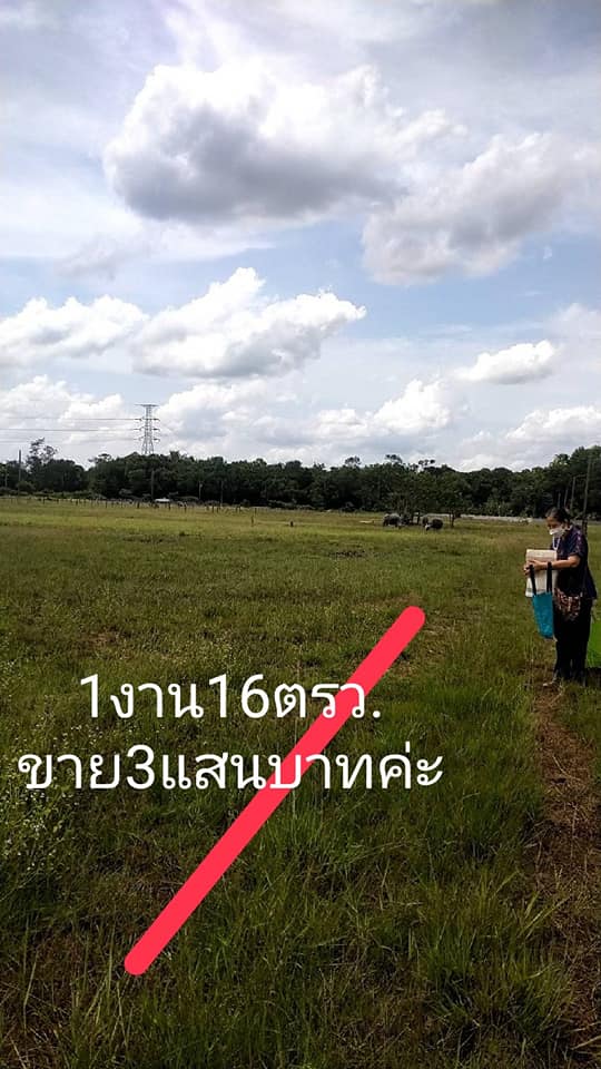ที่ดินเปล่า วารินชำราบ อุบลราชธานี 116 ตรว.