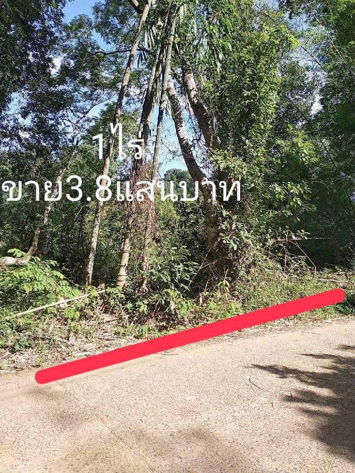 ที่ดิน อยู่ในชุมชน อ.เมือง อุบลราชธานี 1 ไร่