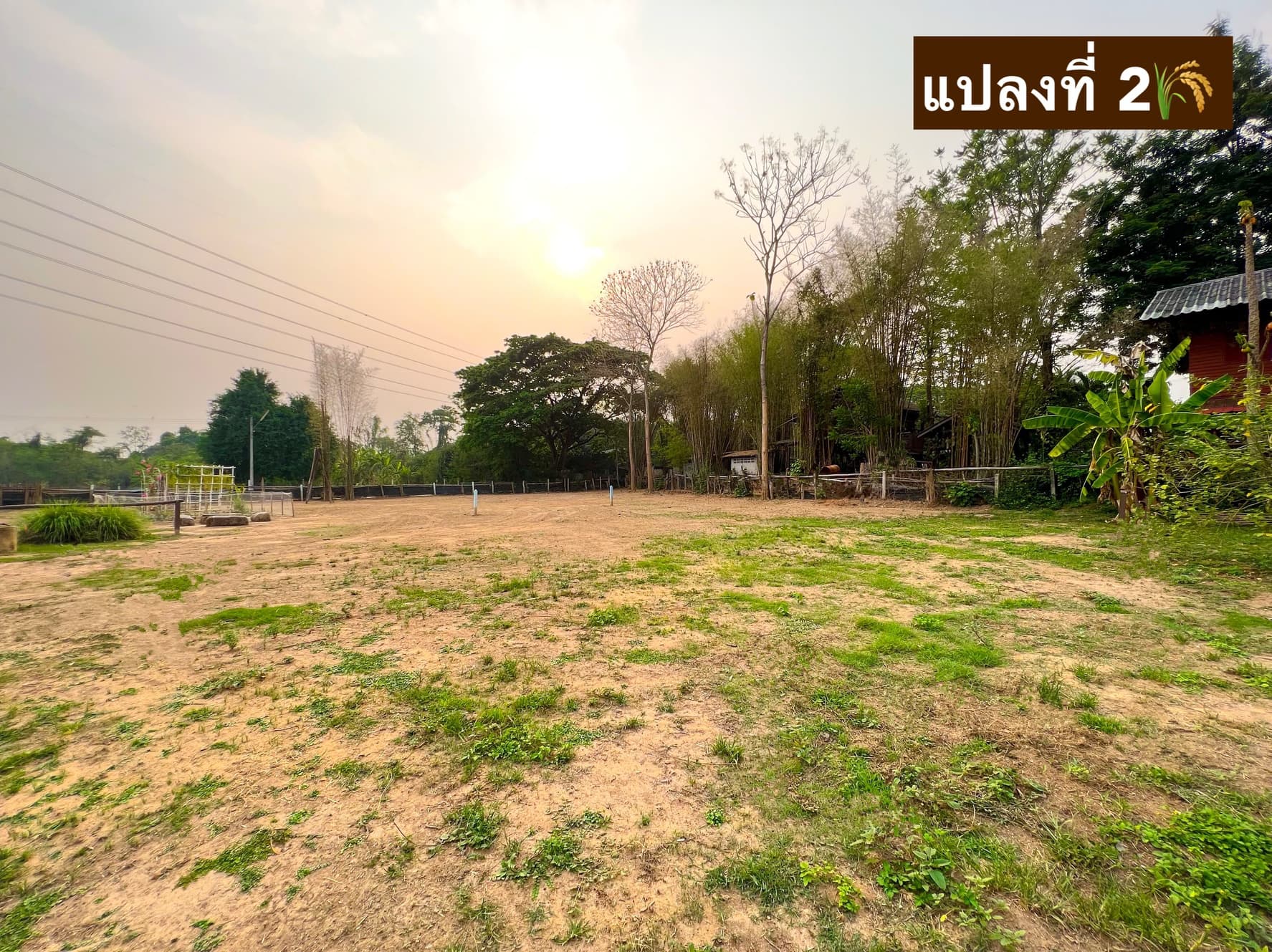 ที่ดินสวยติดสวนออแกนิก ในตัวเมืองลำปาง 0-1-42.5