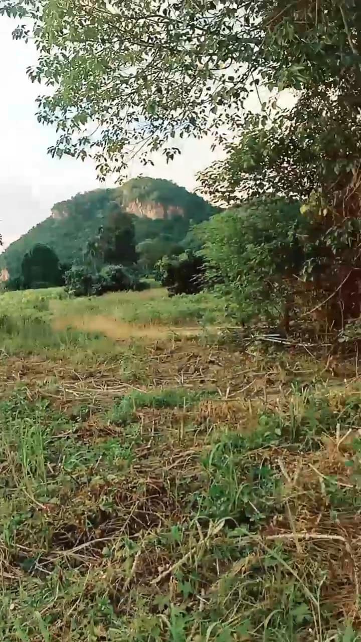 ขายที่ดินอุทัยธานี บ้านไร่ 1-0-51