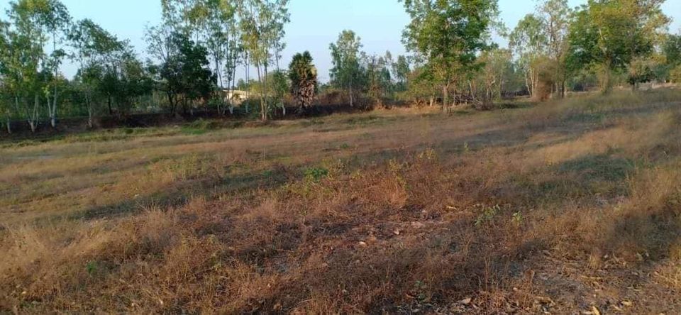 ที่ดินเปล่าพื้นที่ดิน10ไร่ครึ่ง อุดรธานี 