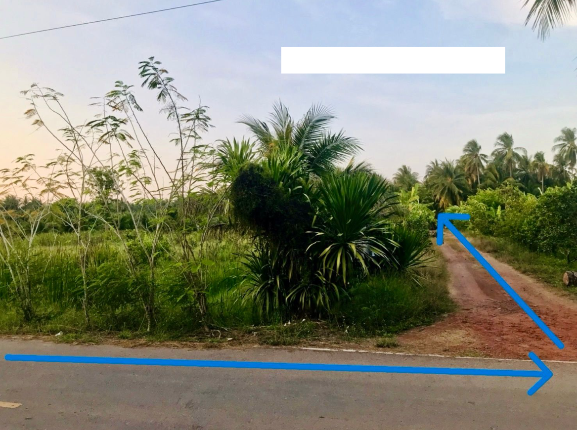 ขายที่ดินแปลงสวย ติดถนนบางแค ซอย 10 อ.อัมพวา จ.สมุทรสงคราม (25.3.2568)