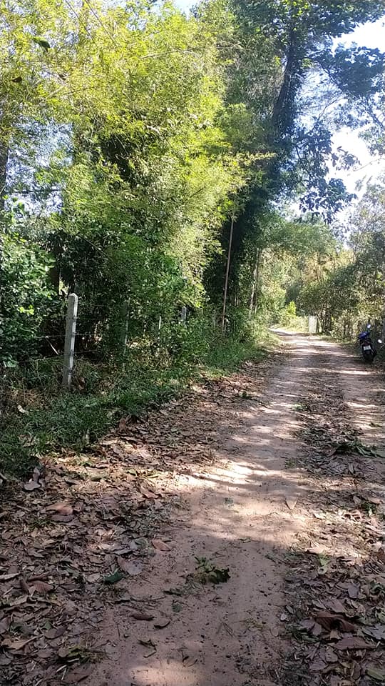 ขายที่ดิน อุบลราชธานี 2-2-29 ไร่