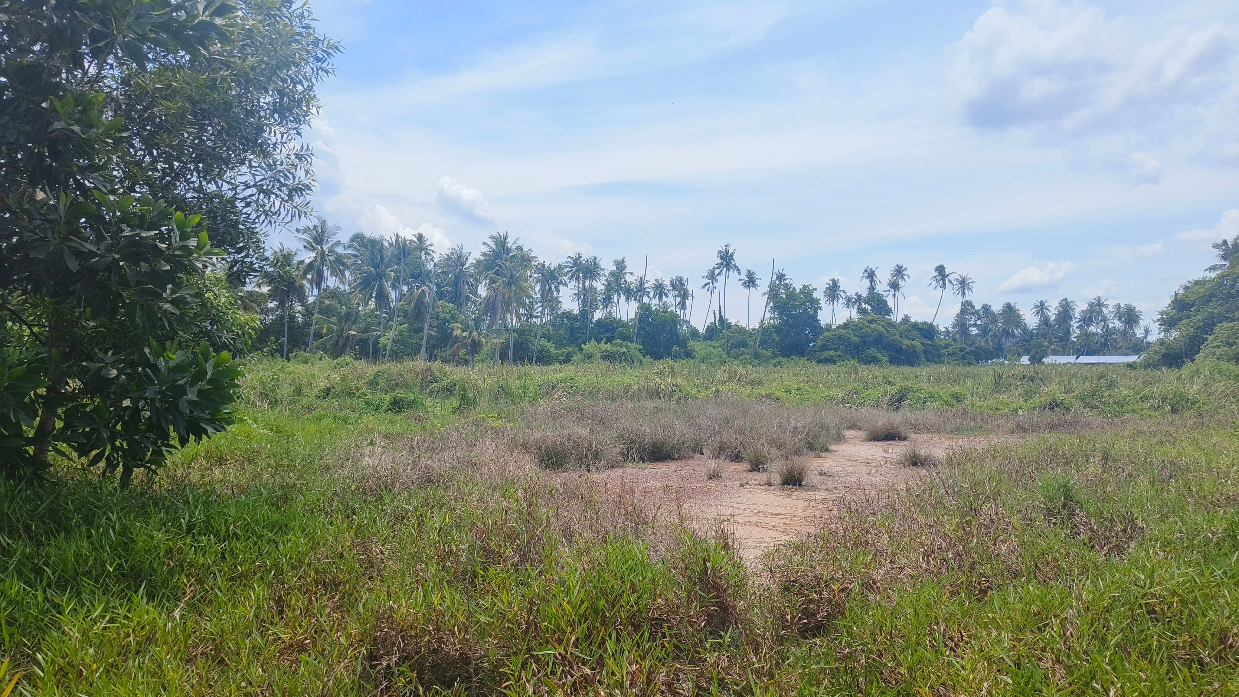 ขายด่วนที่ดินพื้นที่ท่องเที่ยวทางทะเล หาดแหลมสิงห์