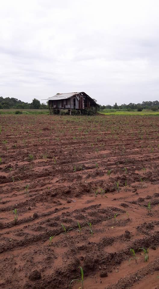 ขายที่ดินแปลงใหญ่ กบินทร์บุรี ปราจีนบุรี มีโฉนด เจ้าของขายเอง