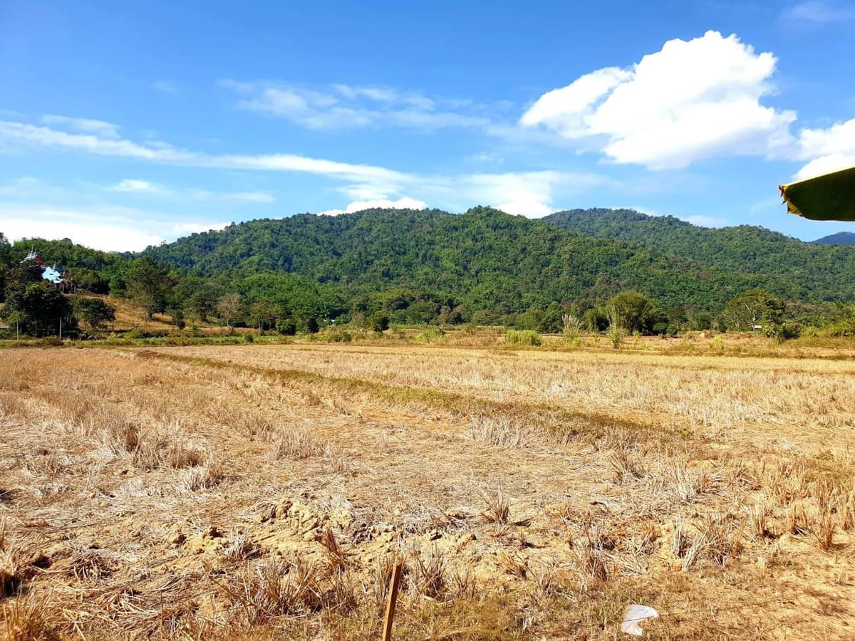 ขายที่ดิน 35 ไร่ ที่สวย บรรยากาศดี 