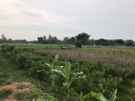 ที่ดินทำการเกษตร บ้านโป่ง ราชบุรี 10 ไร่