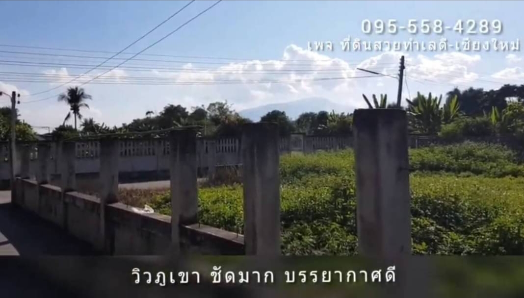 ที่ดินเเม่ริม112ตรว แปลงมุม ถมเเล้ว ล้อมรั้วเเล้ว วิวภูเขา