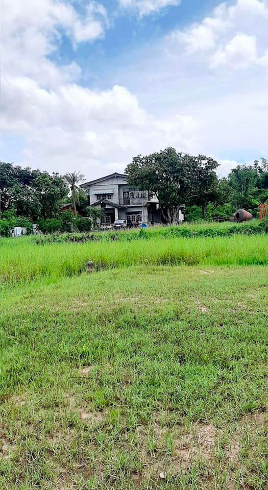 ขายที่ดินอุดรธานี เมืองอุดรธานี 0-1-50ตารางวา