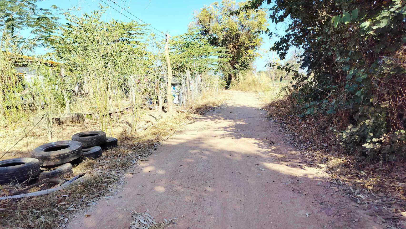 ขายที่ดินชัยภูมิ ที่ดินเปล่า ติดถนนสาธารณะ บ้านเขว้า ชัยภูมิ